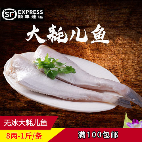 大号耗儿鱼扒皮新鲜冷冻内脏火锅