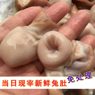 四川火锅新鲜兔肚火锅食材兔肚头500克 口口脆食材 餐饮商用鲜货