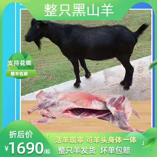 一整只黑山羊28斤新鲜生羊肉非内蒙古半成品食材现宰真空顺丰包邮
