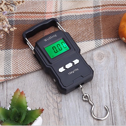 威衡150斤手提电子秤便携式小型高精度快递称买菜防欺诈带尺子