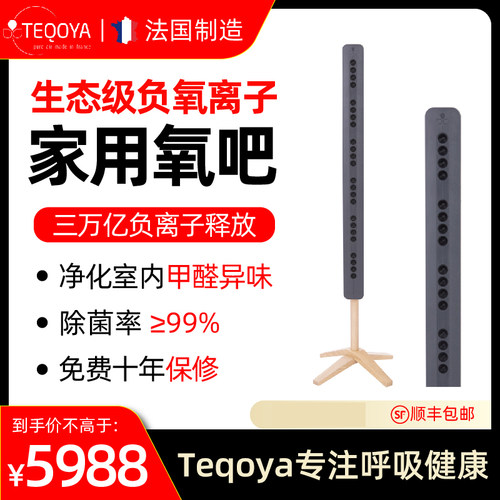 得康氧法国进口除菌负离子发生器