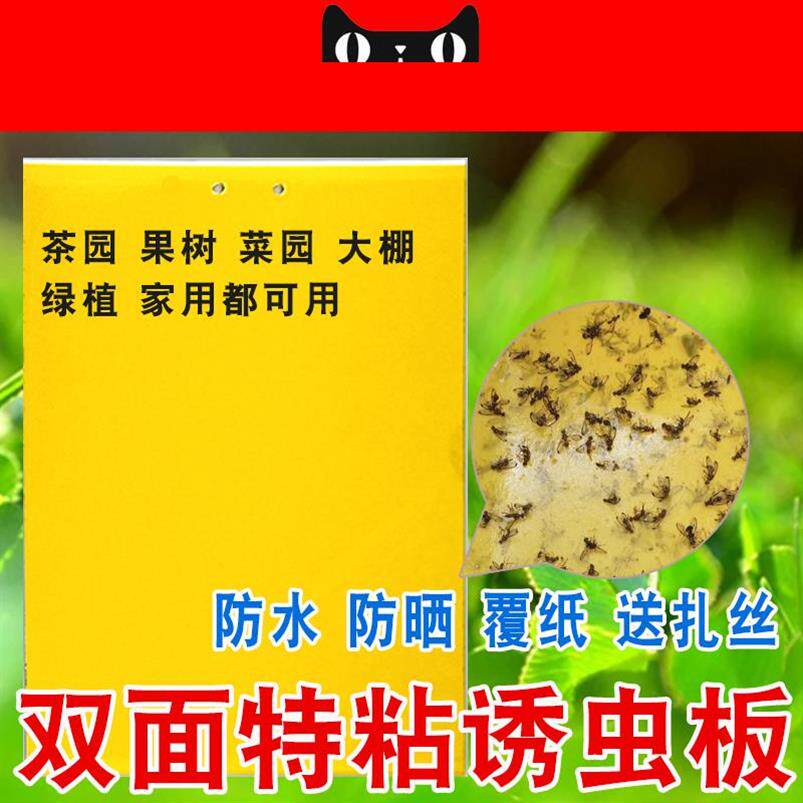 虫子粘性小黑飞 粘虫板绿植花园胶板双面板驱虫白粉虱纸膜园林在类目 鲜花速递/花卉仿真/绿植园艺, 园艺用品, 其它园艺用品中 - 来自Buy2taobao.com提供专业的淘宝代购服务