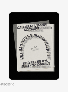 1款ins风文艺硫酸纸文印品logo排版海报设计展示样机mockup模版