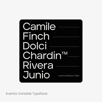 Aventa 20款时尚无衬线英文字体家族logo标志设计字体安装下载