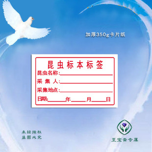 昆虫标本标签 不干胶挂签 粘贴植物标本签 定名签 采集记录本