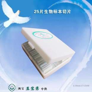 25片装显微镜生物切片标本套装 普教类 科普材料 生物玻片