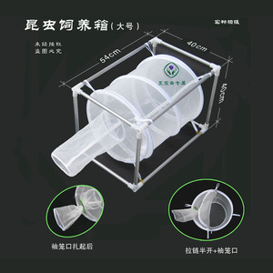 昆虫养虫笼 苍蝇 蚊子饲养 昆虫饲养箱 昆虫饲养笼 鸣虫 爬虫用具