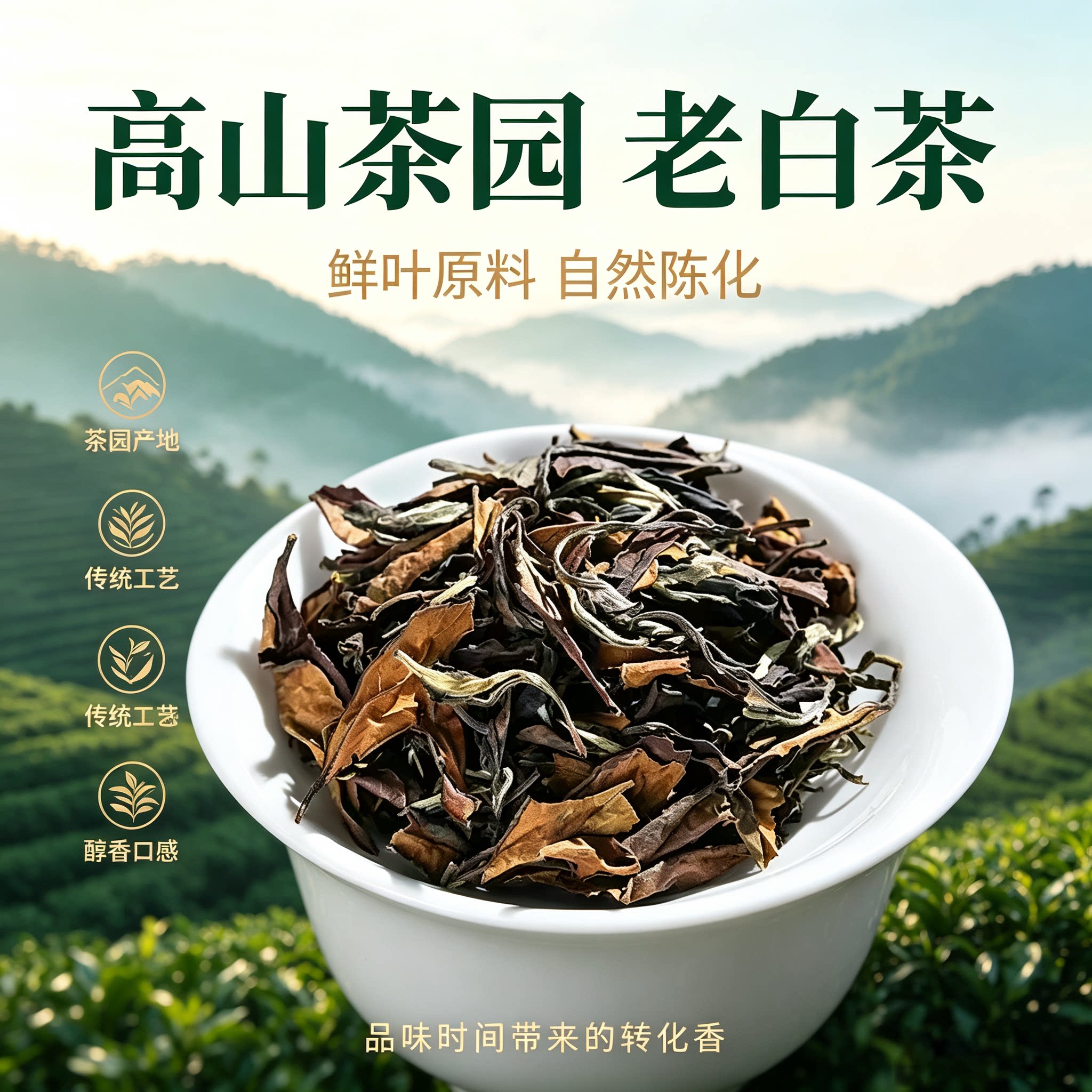 2016福鼎太姥山陈年老白茶寿眉