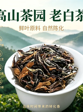 2016年福鼎太姥山老白茶寿眉散装茶叶500g装
