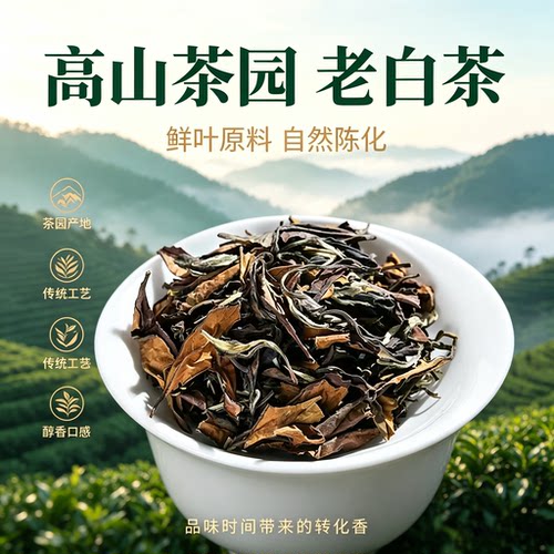 2016年福鼎太姥山老白茶寿眉散装茶叶500g装