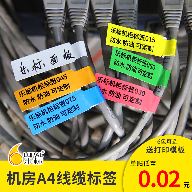 乐标网线标签纸A4不干胶打印纸彩色防水线缆P型刀型可定制分类手写记号贴自粘网络线标贴纸-封面