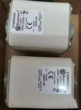 BUSSMANN伊顿巴斯曼快速熔断器170M5496全新保险丝