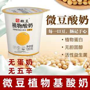微豆酸奶纯素大豆酸奶无蛋奶植物基蛋白发酵益生菌饮品纯素食酸奶