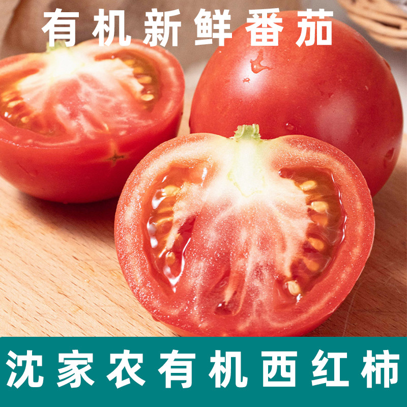 沈佳农有机西红柿番茄新鲜蔬菜有机番茄自然熟孕妇宝辅食生吃沙拉