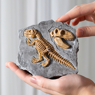 儿童乳牙收藏盒男孩换牙保存盒宝宝掉牙收纳盒牙齿纪念盒生日礼物