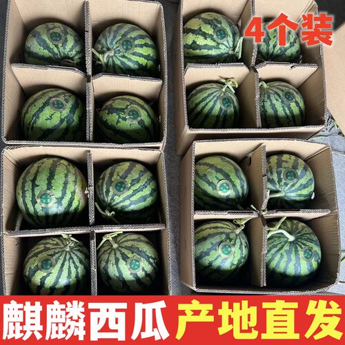 正宗东台西瓜新鲜麒麟瓜爆炸瓜头茬美都薄皮当季现摘孕妇宝宝水果