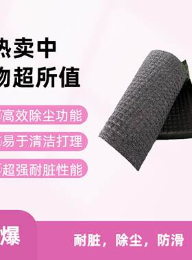 力九和入户除尘家用玄关门垫