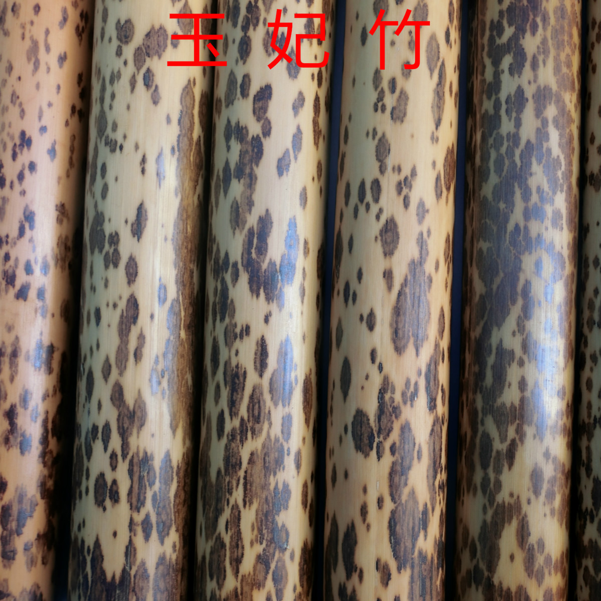 玉妃竹香妃湘妃竹贵妃梅妃竹节圈筒斑竹制品文玩把玩个性雕刻材料