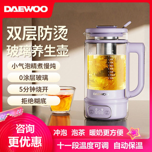 电炖壶自动保温养生壶烧水壶