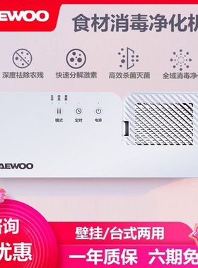 肉类消毒器蔬菜清洗机果蔬清洗机