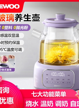 烧水壶隔水炖炖煮蒸煮茶器养生壶