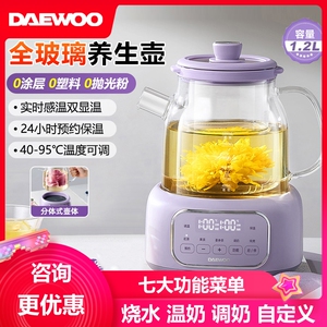烧水壶隔水炖炖煮蒸煮茶器养生壶