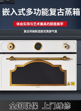 黑色佛山电蒸箱美诺仕