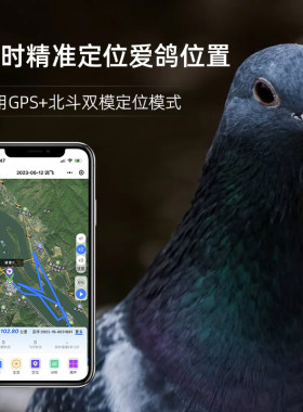 数字鸽抖音快手同款信鸽实时定位足环GPS追踪器信鸽飞行轨迹鸽子