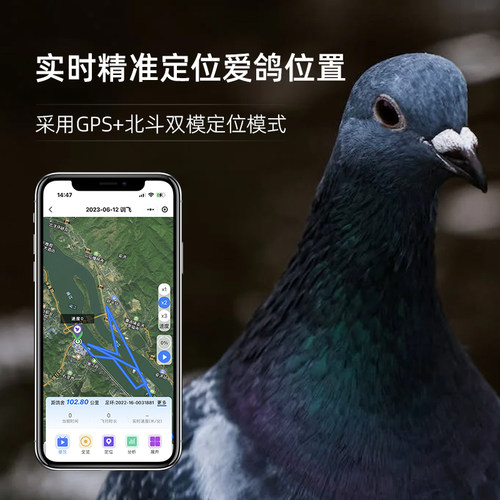 数字鸽抖音快手同款信鸽实时定位足环GPS追踪器信鸽飞行轨迹鸽子