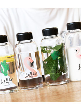 韩版北欧便携随手杯子火烈鸟简约小清新简约瓶子女学生水杯玻璃杯