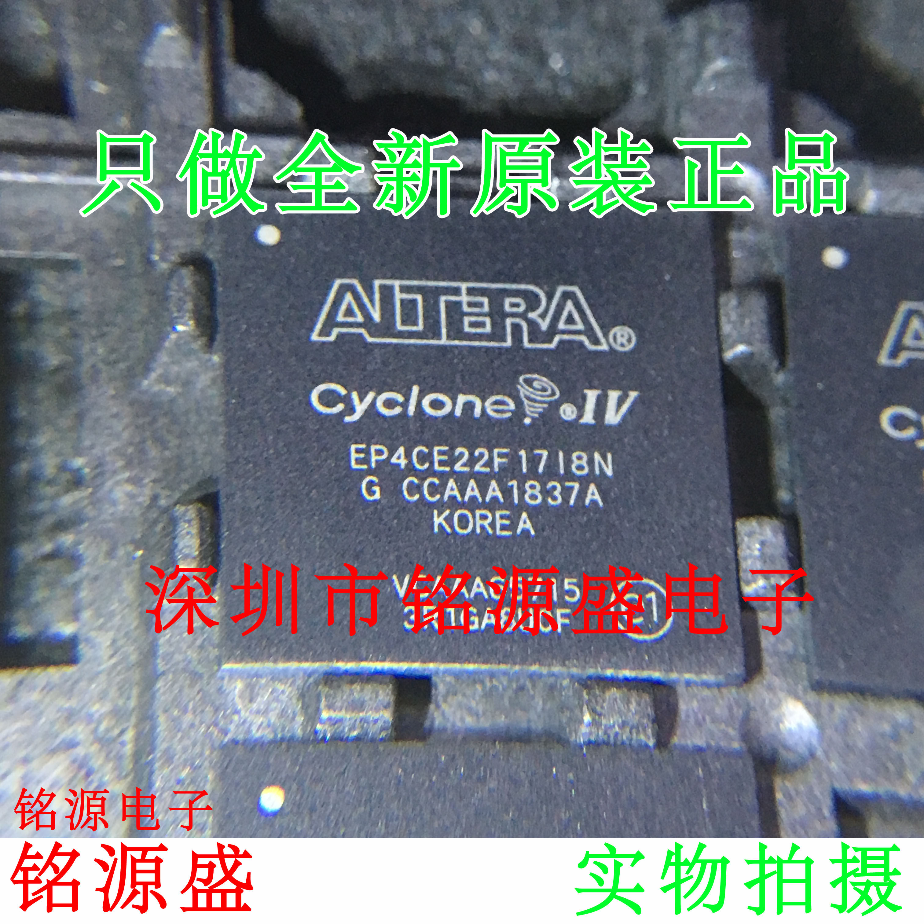 铭源盛 全新原装正品 EP4CE22F17C6N EP4CE22F17C6 BGA256 芯片