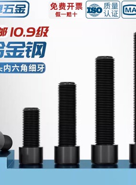 10.9级细牙内六角螺丝MM8*1M10*1.25M12M14M16*1.5M18M20M22M24x2