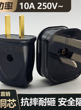 大功率【通用型】黑色一体纯铜防摔耐高温不带线二极三极家用插头