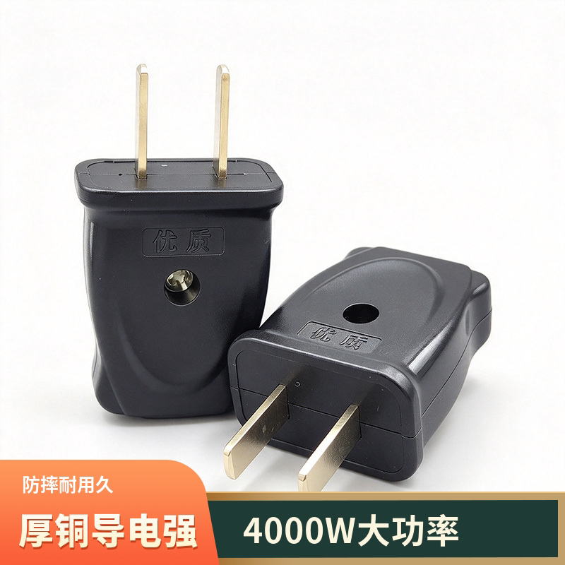 4000W黑色二脚一体厚铜插头