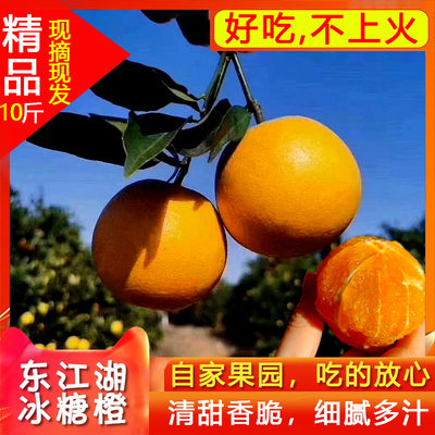 东江湖冰糖橙清江橙子10斤新鲜比永兴冰糖橙子多汁甜孕妇应季水果