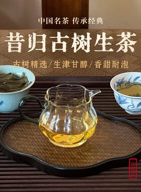 昔归忙麓山古树生茶花蜜香耐泡