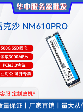 雷克沙NM610PRO 500G SSD固态硬盘 M.2接口 NVMe 3000MB/s