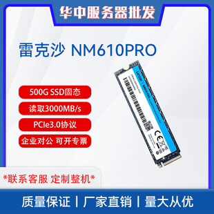 500G 3000MB SSD固态硬盘 NVMe M.2接口 雷克沙NM610PRO