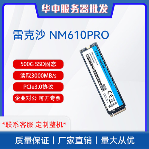 雷克沙NM610PRO 500G SSD固态硬盘 M.2接口 NVMe 3000MB/s