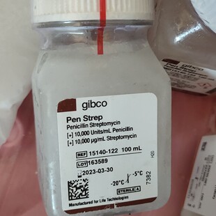 Gibco™青霉素 15140122 链霉素双抗