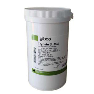 赛默飞gibco胰酶27250018干粉100g