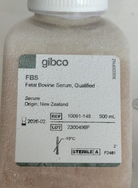 gibco胎牛血清澳洲10099141C/新西兰10091148血清