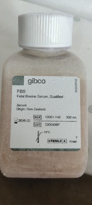 gibco胎牛血清澳洲10099141C/新西兰10091148血清