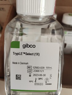 酶 Gibco TrypLE Select 12563029