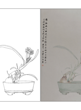 【有步骤】王震工笔画白描底稿水仙图小品《只说名唤玉玲珑》WZ28