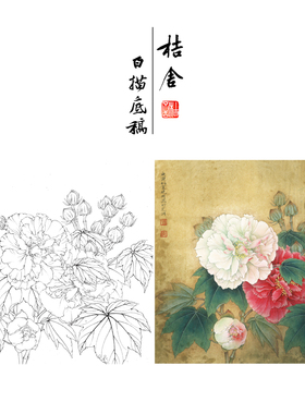 【有步骤、大彩图】李晓明工笔画白描底稿斗方《双色芙蓉图》KB23