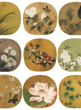 李晓明工笔画白描底稿蝴蝶荷花一套九幅初学者尺寸35×38厘米TW07
