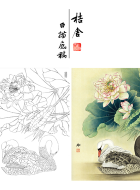 【有步骤、大彩图】郑玲玲工笔画白描稿荷花天鹅《清荷丽影》ZL05