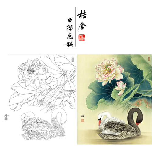 【有步骤、大彩图】郑玲玲工笔画白描稿荷花天鹅《清荷丽影》ZL05