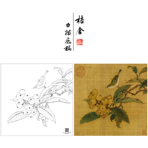 【大彩图】林椿工笔画白描底稿小品《枇杷山鸟图》花鸟线稿GH13